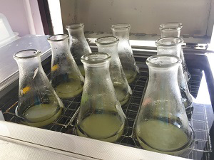 耐强酸消泡剂的外形 耐强酸消泡剂的外形